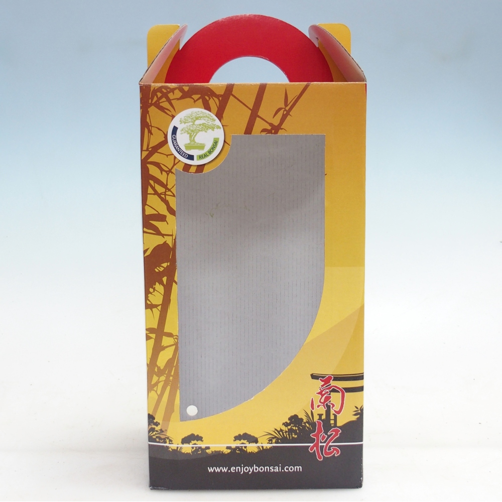 Boîte à bonsaïs - papier