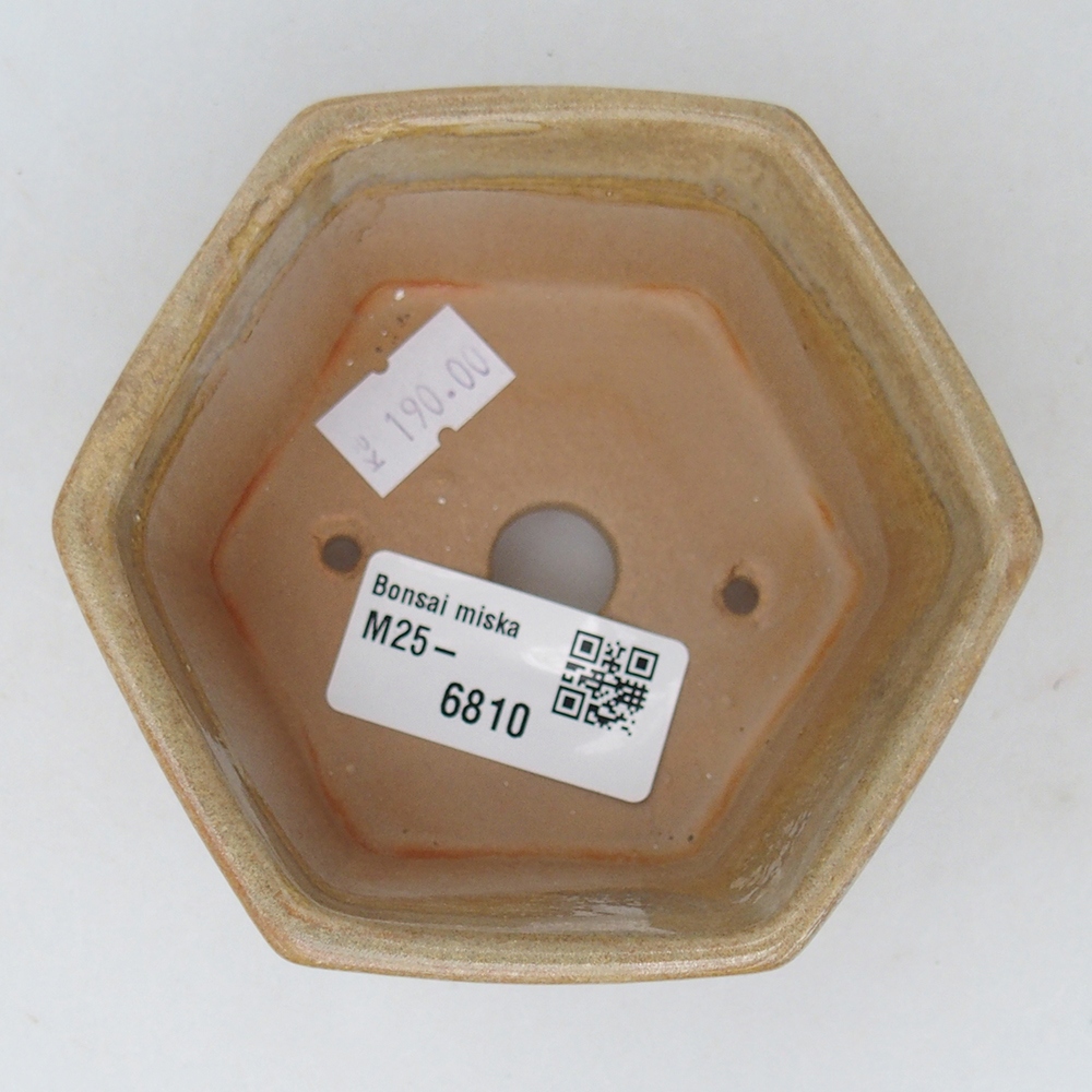 Bol à bonsaï en céramique 10,5 x 9,5 x 5 cm, couleur beige