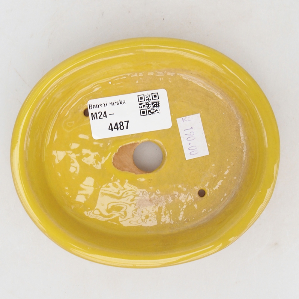 Bol à bonsaï en céramique 13 x 11 x 2,5 cm, jaune
