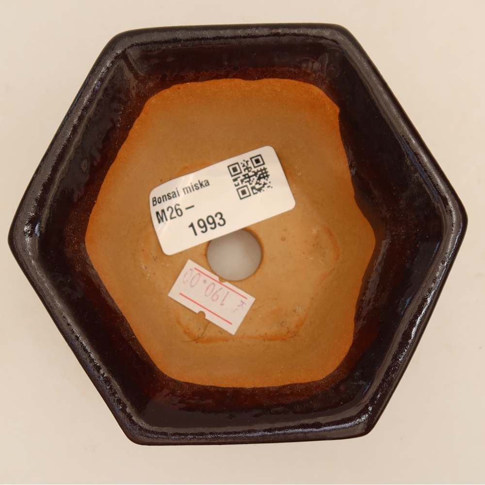 Pot à bonsaï en céramique 10,5 x 9,5 x 5,5 cm, couleur noire