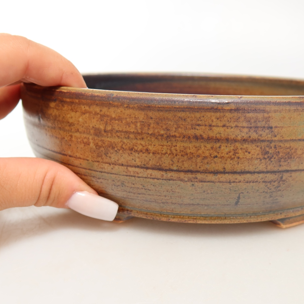 Pot à bonsaï en céramique 19 x 19 x 6 cm, couleur marron