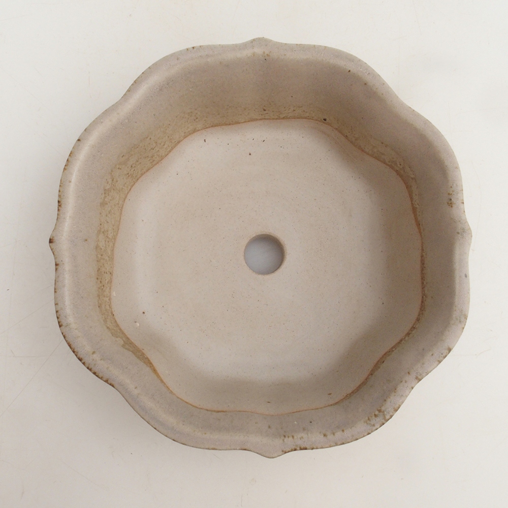 Coupe bonsaï H06 - 14,5 x 14,5 x 5 cm - beige