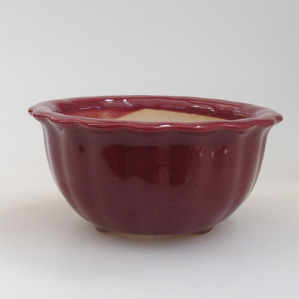 Mini bol bonsaï 6,5 x 6,5 x 3,5 cm, bordeaux