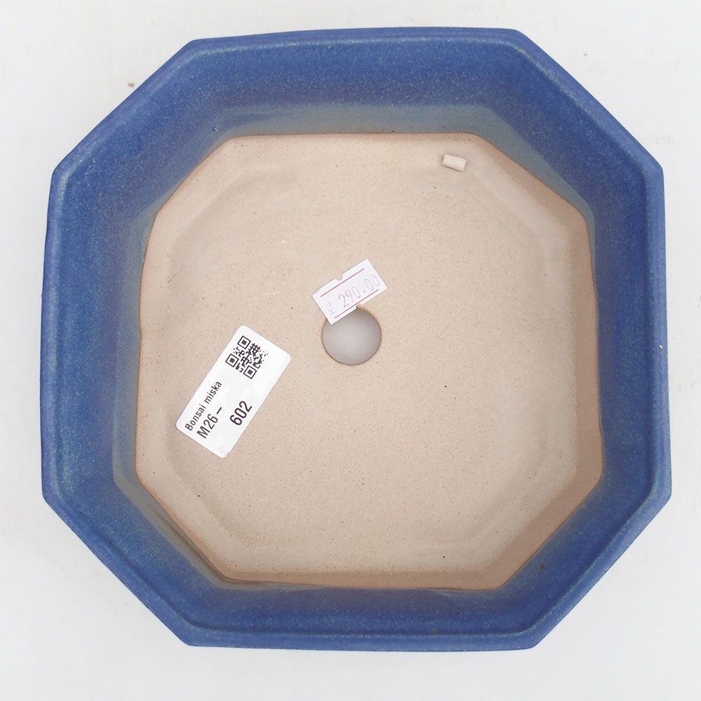 Bol à bonsaï en céramique 17,5 x 17,5 x 6 cm, couleur bleu
