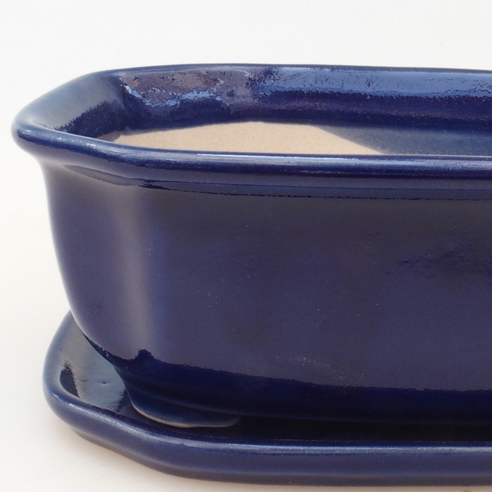 Bol Bonsaï + soucoupe H31 - bleu