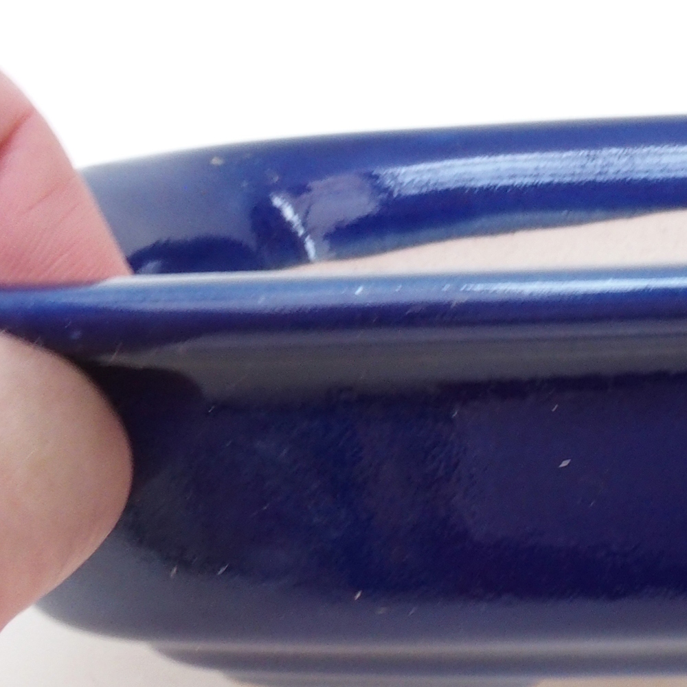 Coupe bonsaï H02 - 19 x 13 x 5 cm - bleu