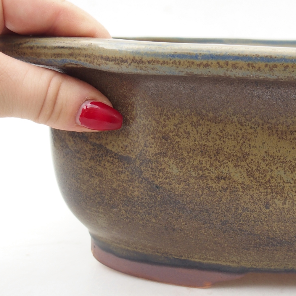 Bol à bonsaï en céramique 30 x 25 x 10 cm, couleur bleu