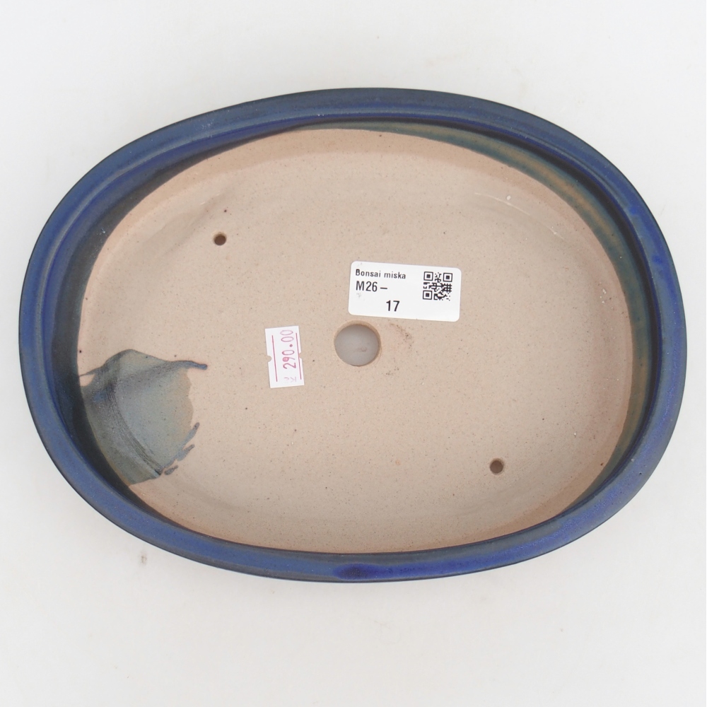 Bol à bonsaï en céramique 22,5 x 17 x 4,5 cm, couleur bleu