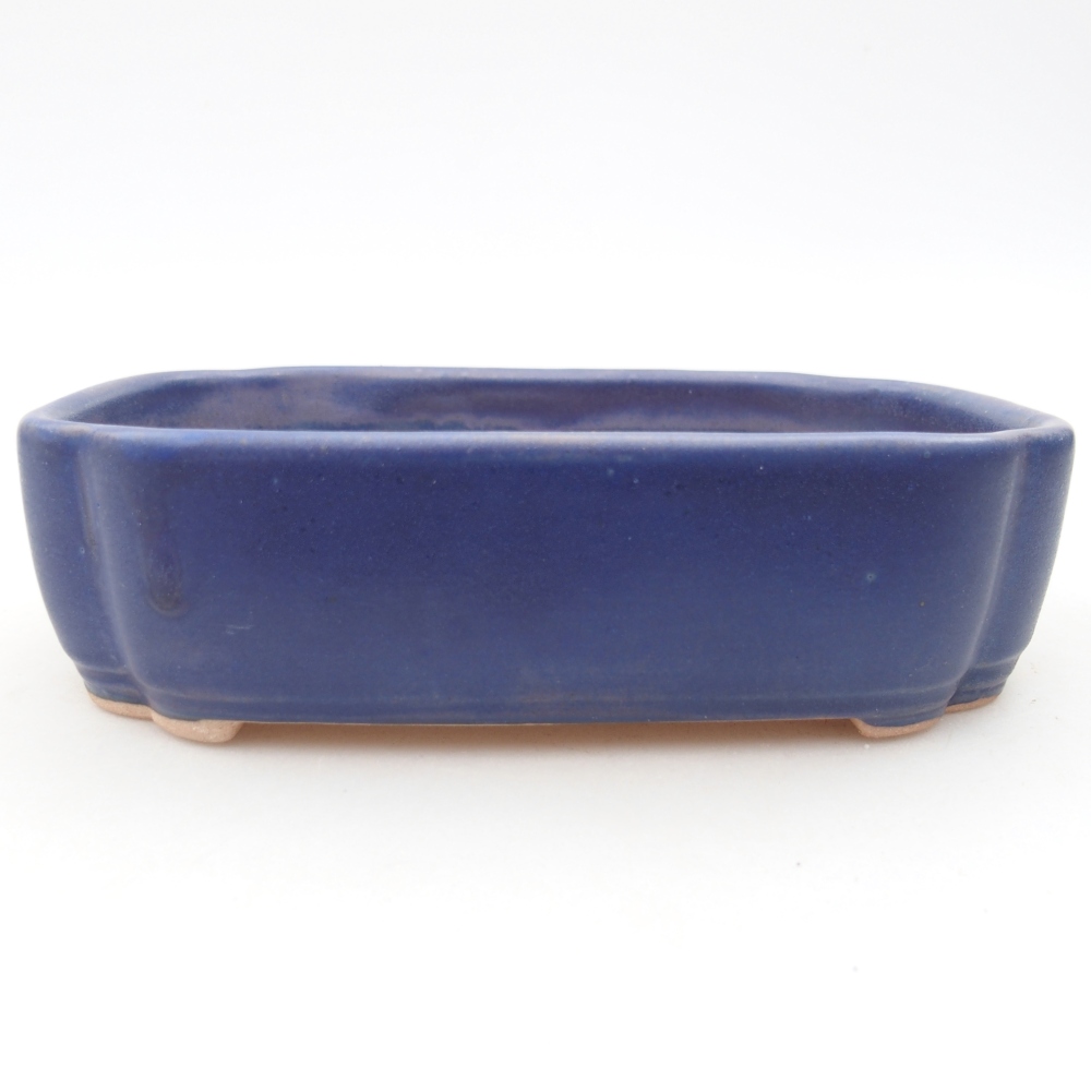 Bol à bonsaï en céramique 15,5 x 11,5 x 4 cm, couleur bleu