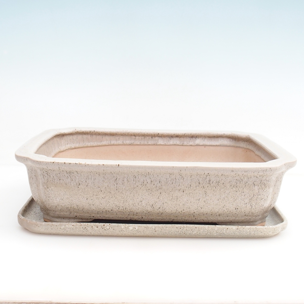 Bol Bonsaï + soucoupe H07 - 30 x 20,5 x 8 cm.