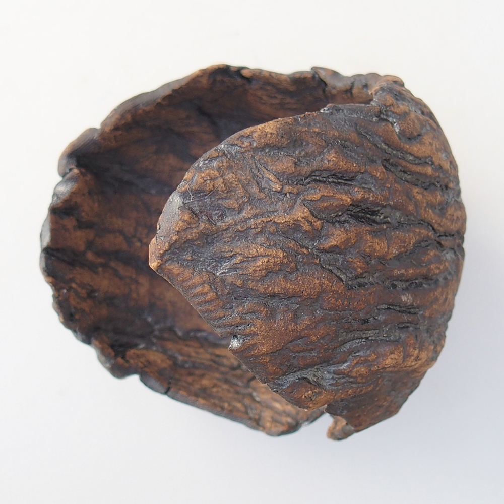 Coquille en céramique 9,5 x 9 x 12 cm , couleur marron