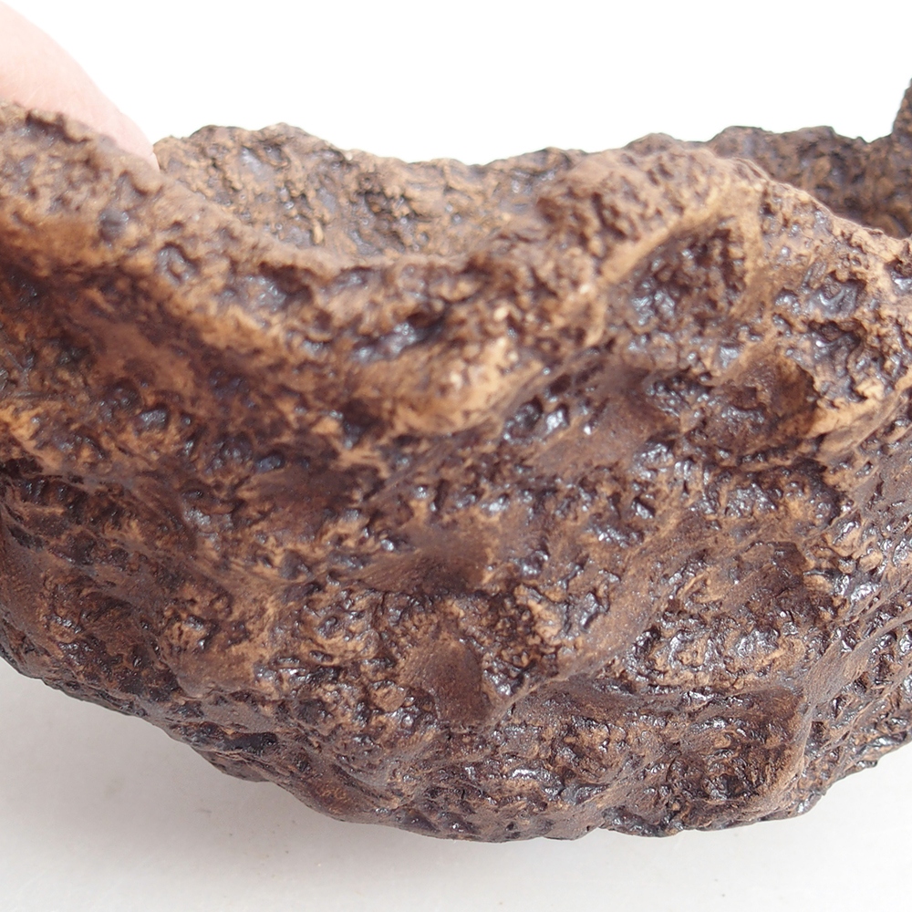 Coquille en céramique 19 x 15 x 14 cm , couleur marron