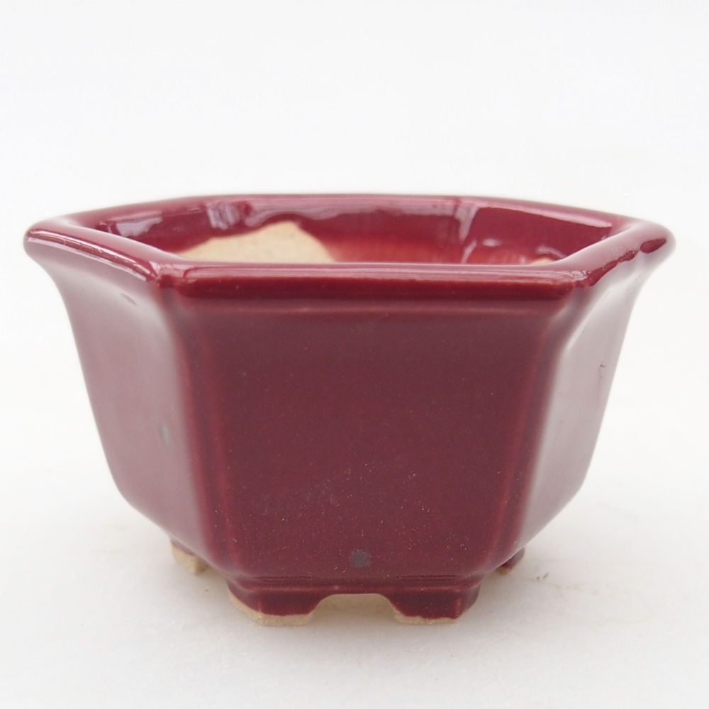 Mini bol bonsaï 5 x 4,5 x 3 cm, bordeaux