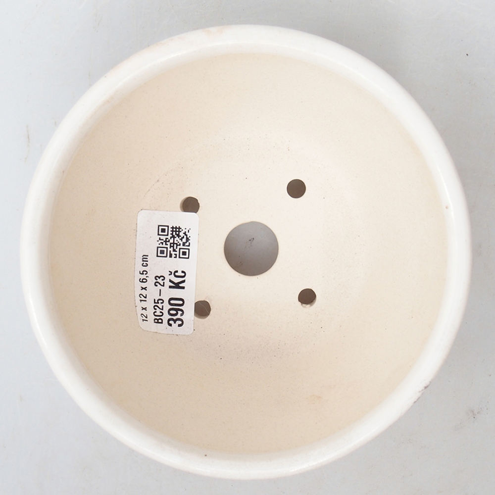 Bol à bonsaï en céramique 12 x 12 x 6,5 cm, couleur blanc