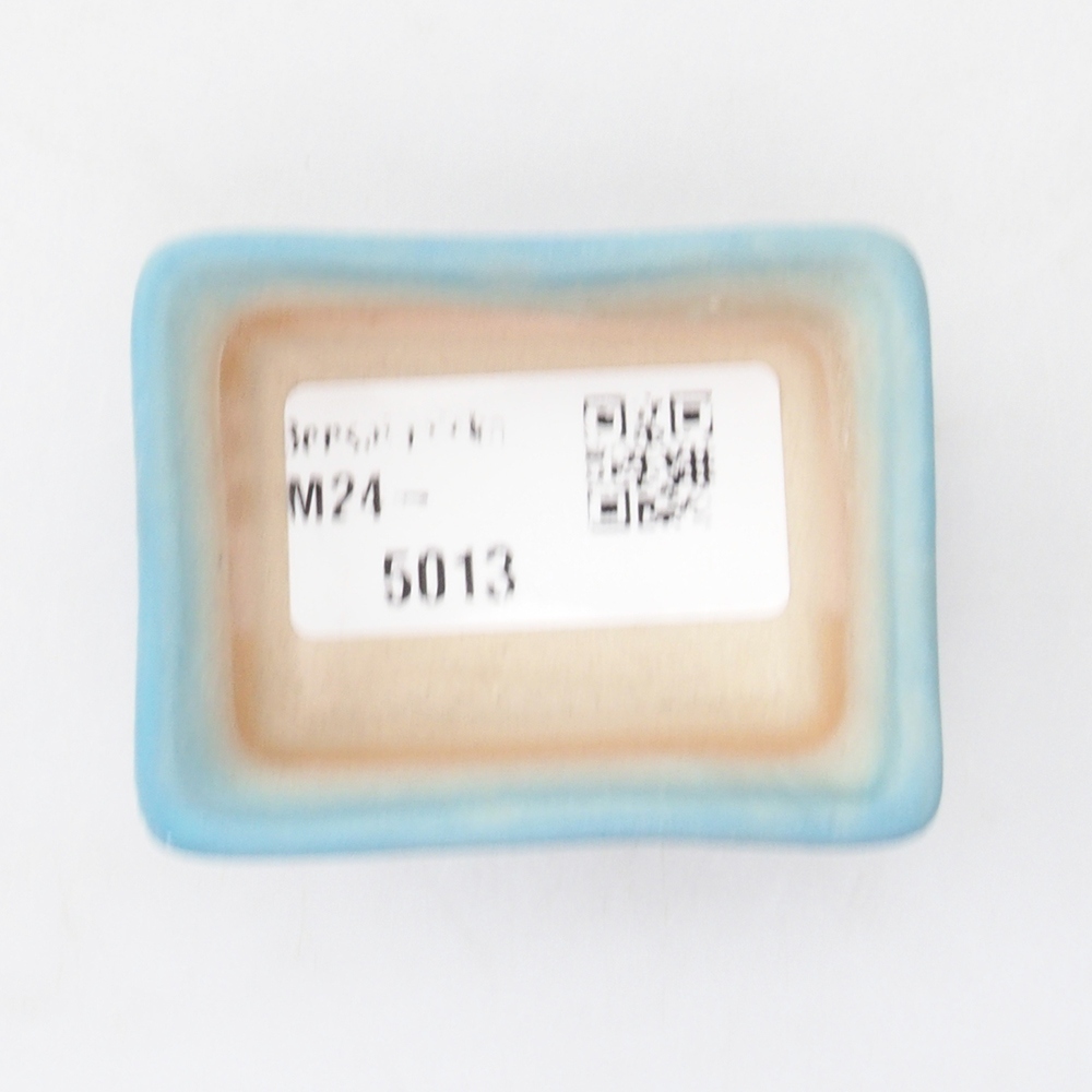 Mini bol bonsaï 5,5 x 4 x 2,5 cm, couleur bleu