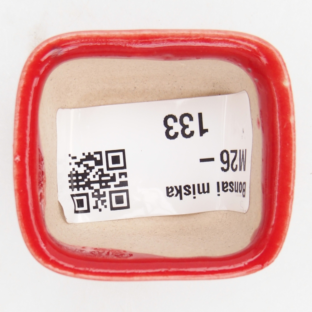 Mini bol bonsaï 4 x 3,5 x 2,5 cm, couleur rouge