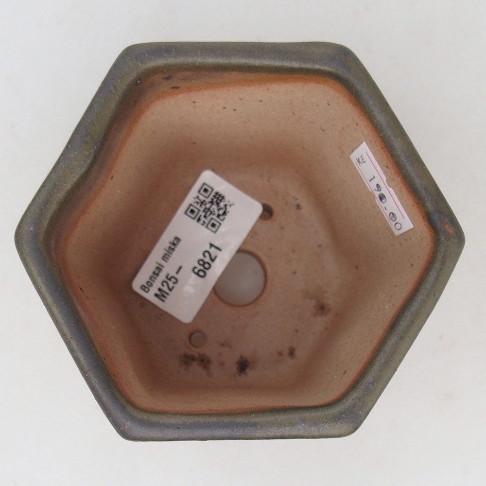 Bol à bonsaï en céramique 9,5 x 8,5 x 8 cm, vert