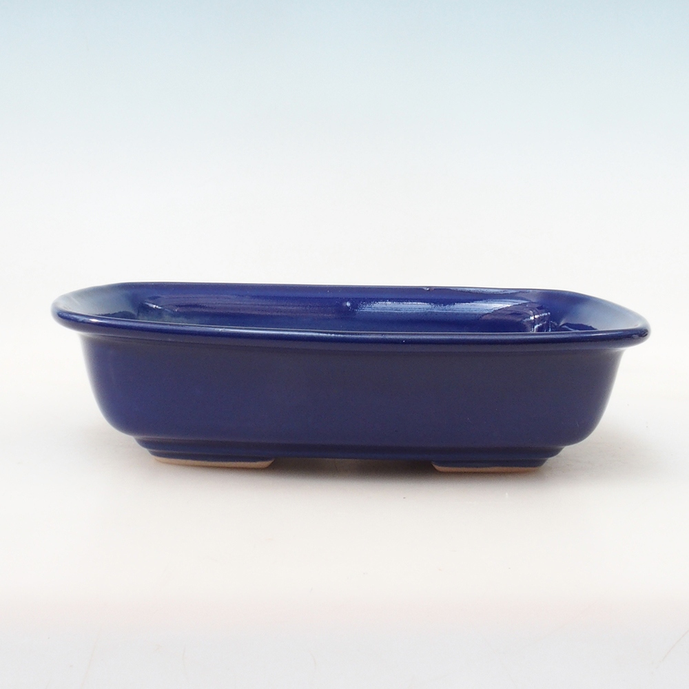 Coupe Bonsaï H09 - 30 x 23 x 7,5 cm - bleu