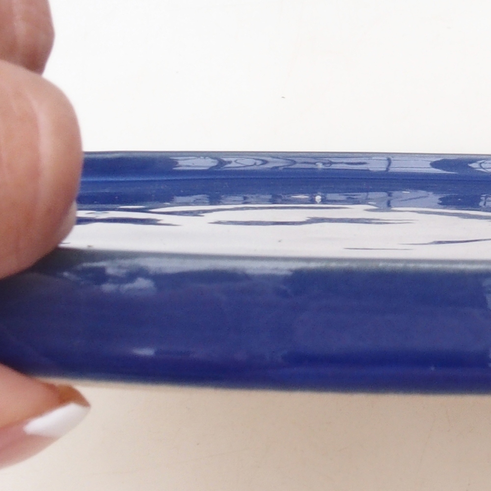 Récipient rond pour bonsaïs D7-L - 28 x 28 x 1,5 cm - bleu