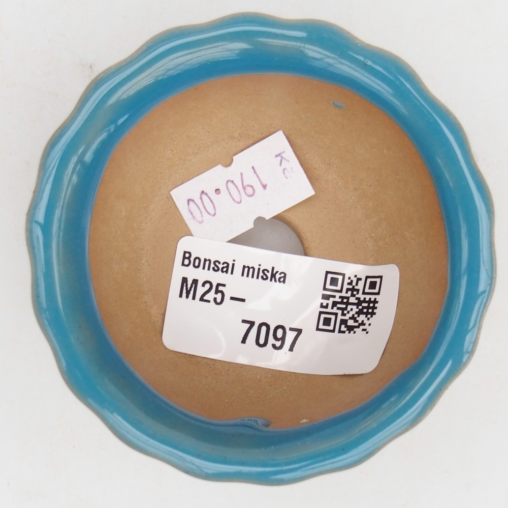Bol à bonsaï en céramique 7 x 8,5 x 3,5 cm, couleur bleu