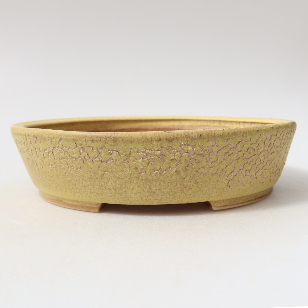 Pot à bonsaï en céramique 18,5 x 16,5 x 4,5 cm, couleur jaune