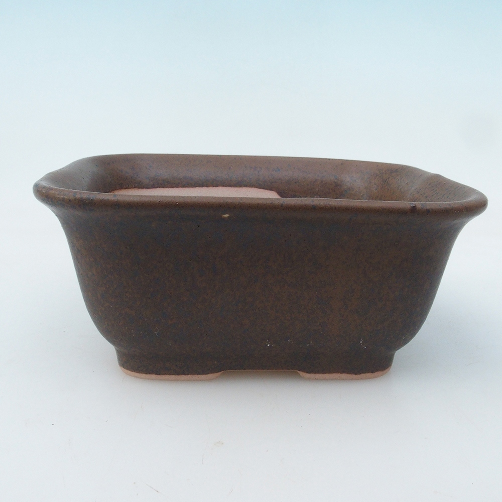 Bol à bonsaï H37 - 14,5 x 13 x 6,5 cm - brun