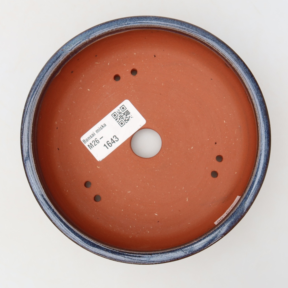 Pot à bonsaï en céramique 14 x 14 x 4 cm, couleur bleue