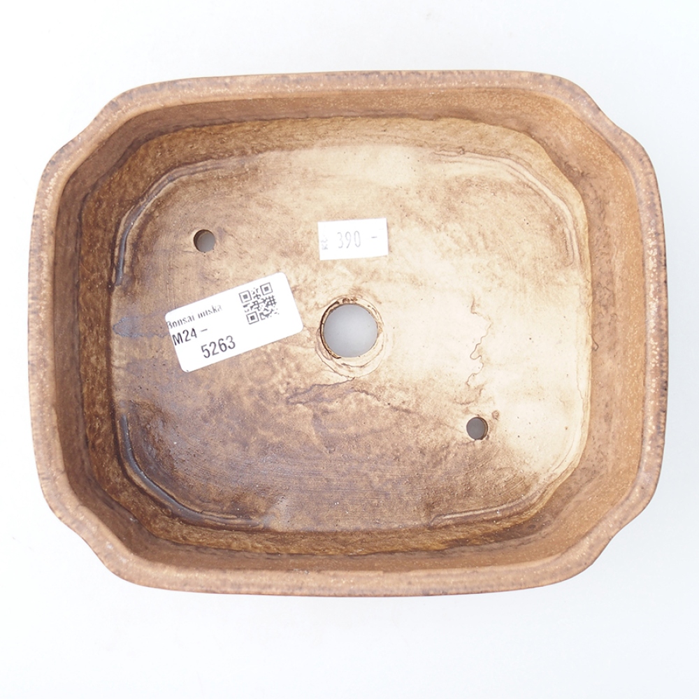 Bol à bonsaï en céramique 17,5 x 14 x 4,5 cm, couleur différente