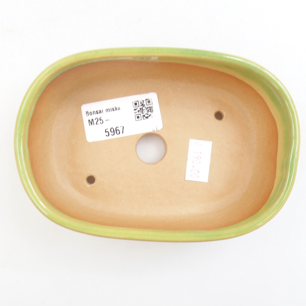 Bol à bonsaï en céramique 22 x 17 x 5 cm, vert