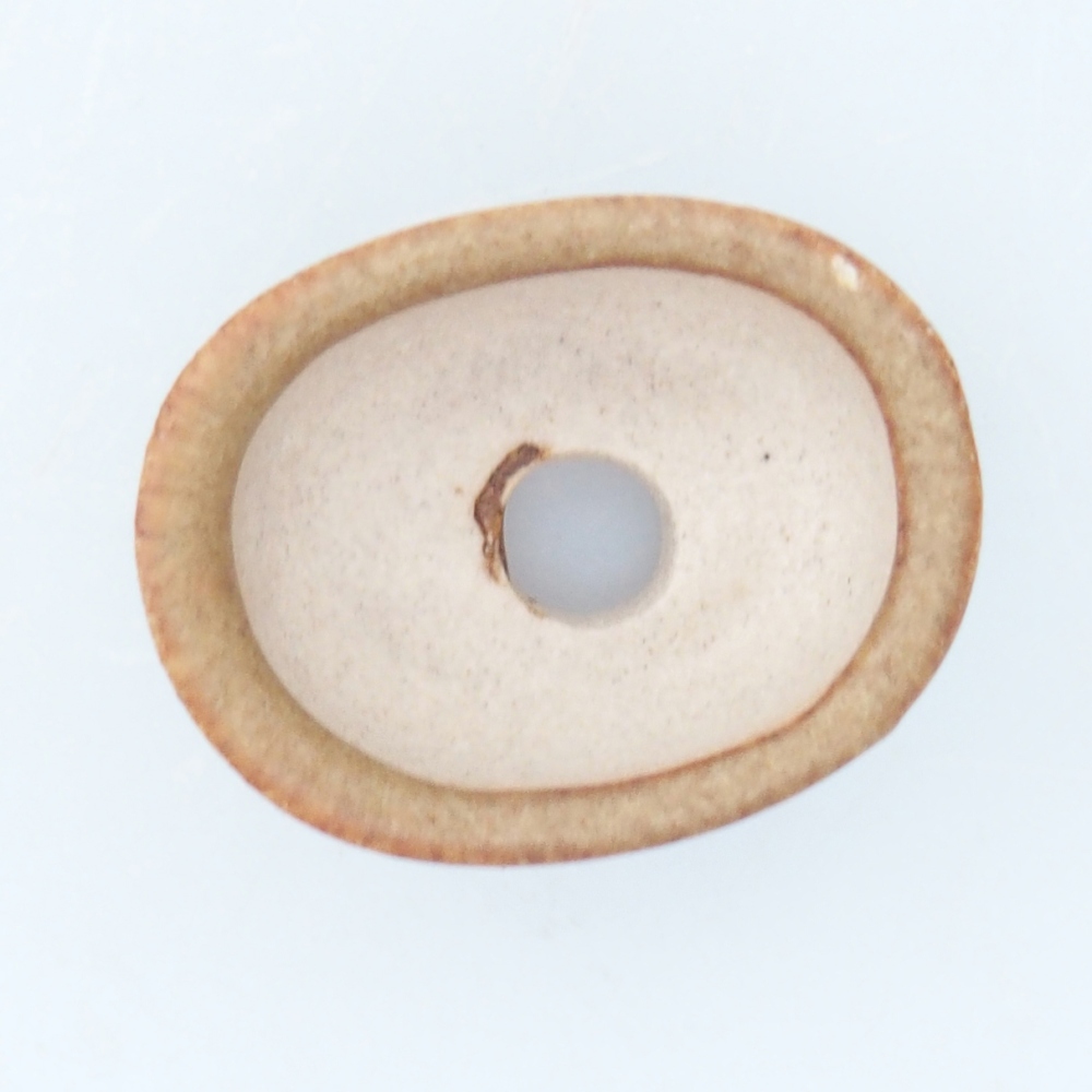 Mini bol bonsaï 2,5 x 2 x 1,5 cm, brun