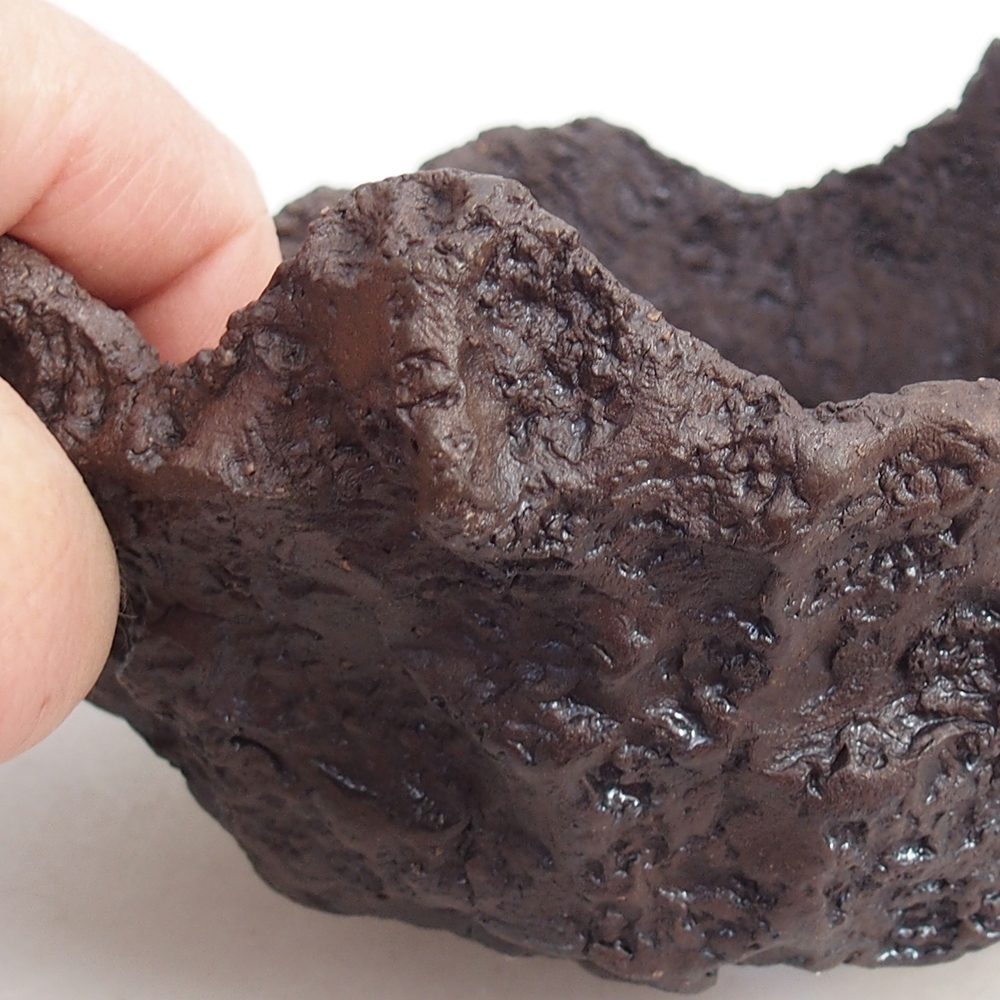 Coquille en céramique 14 x 13 x 13 cm , couleur marron