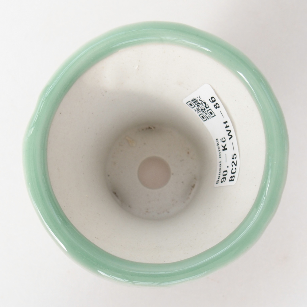 Bol à bonsaï en céramique 9 x 9 x 8 cm, vert