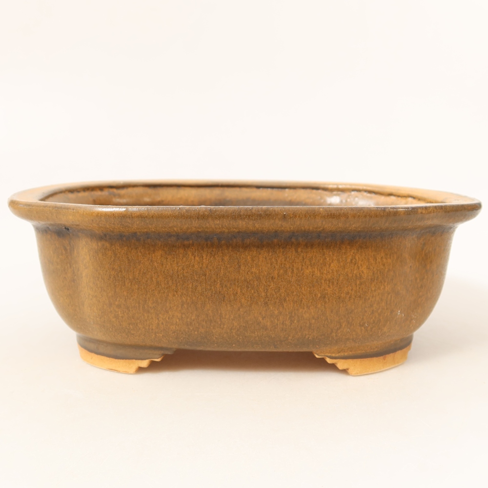 Pot à bonsaï en céramique 20,5 x 16,5 x 7 cm, couleur marron
