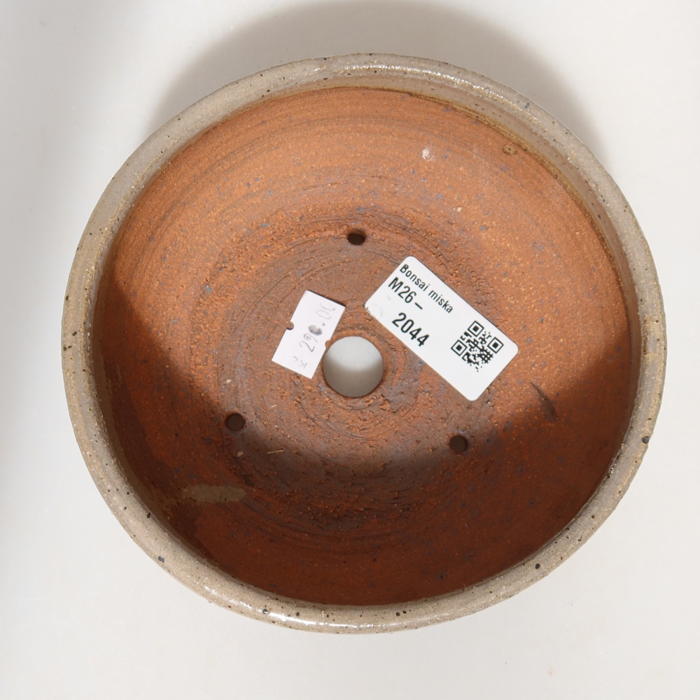 Pot à bonsaï en céramique 14 x 14 x 5,5 cm, couleur beige