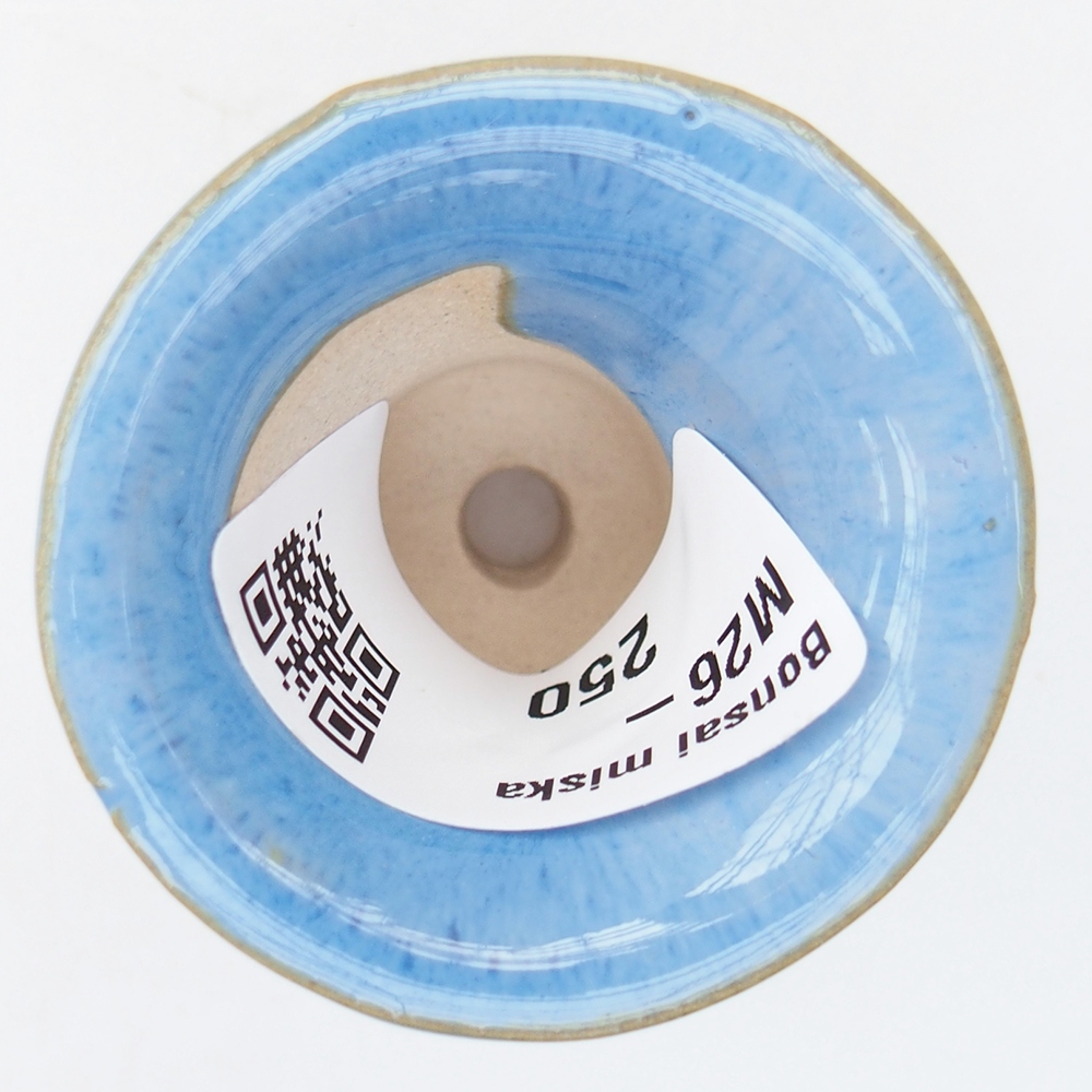 Mini bol bonsaï 4,5 x 4,5 x 3,5 cm, couleur bleu