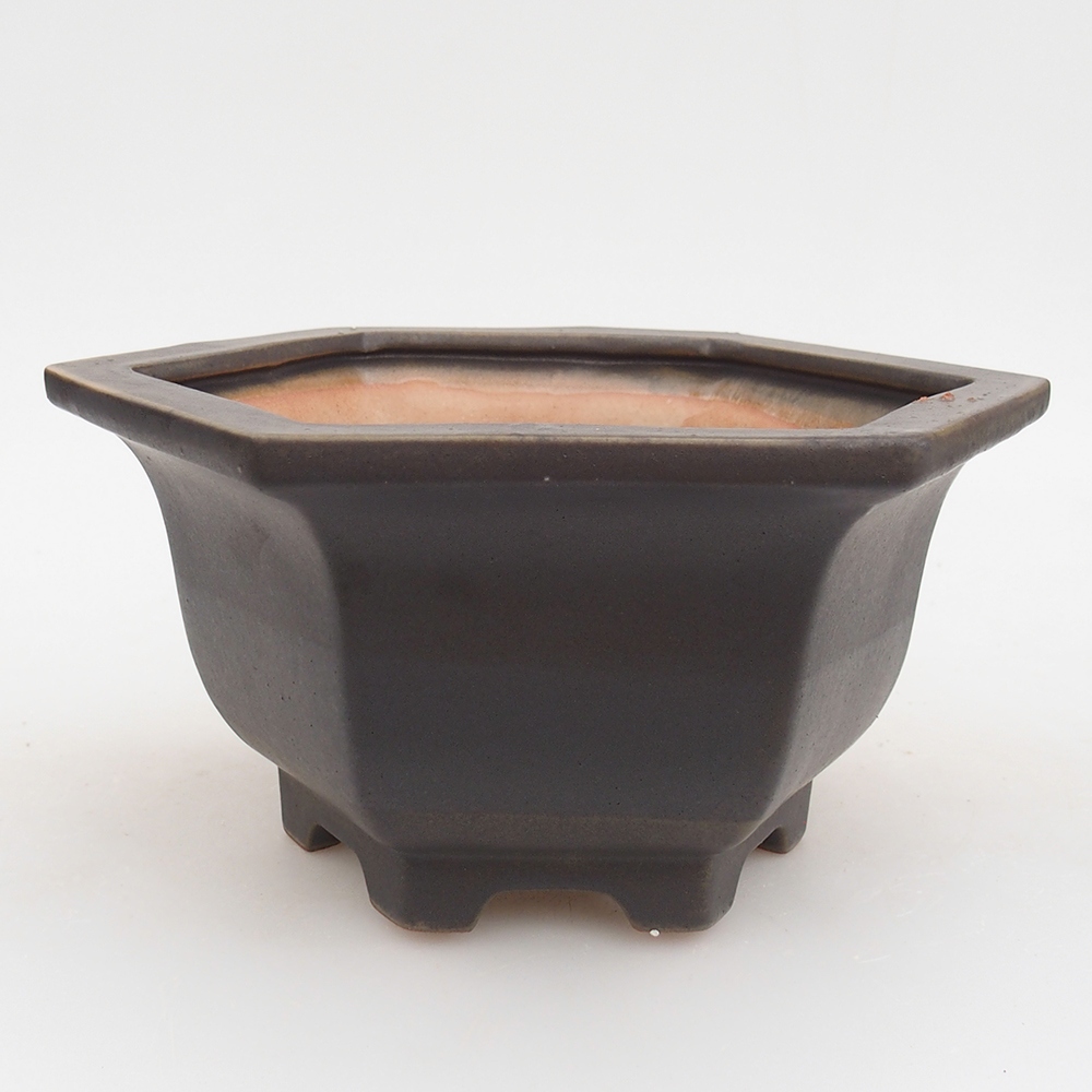 Bol à bonsaï en céramique 18 x 16 x 9 cm, vert