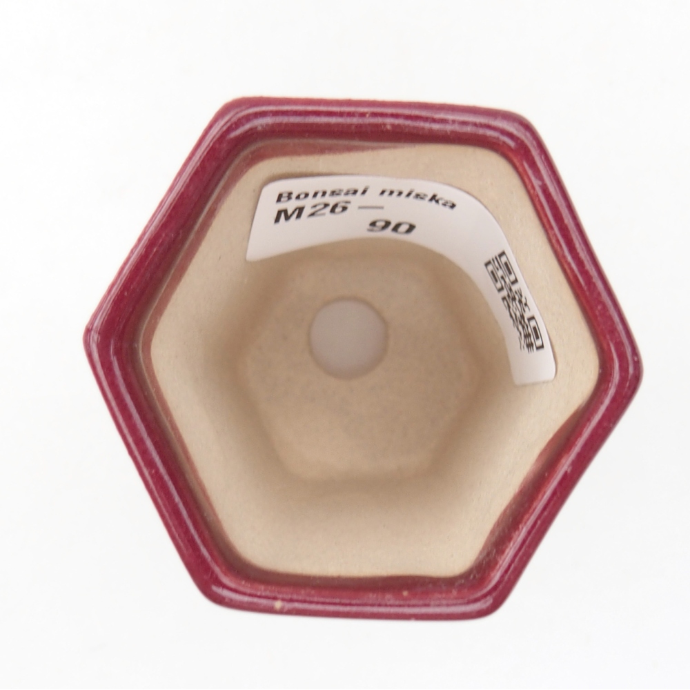 Mini bol bonsaï 5 x 4,5 x 6,5 cm, bordeaux