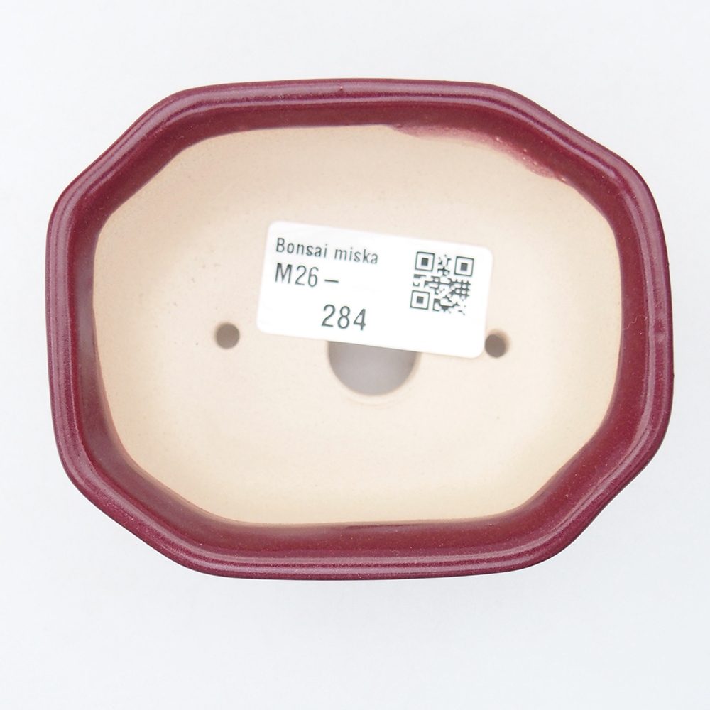 Mini bol bonsaï 9 x 7 x 4,5 cm, bordeaux