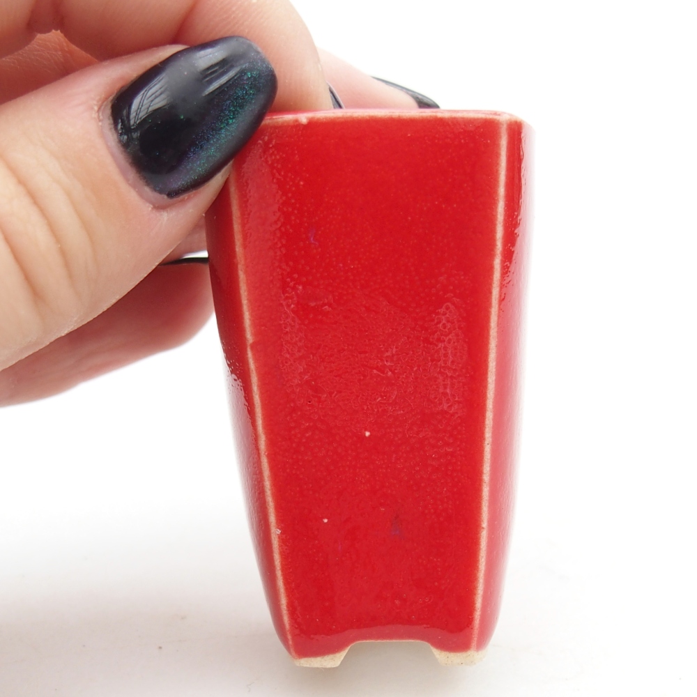 Mini bol bonsaï 3,5 x 3 x 5,5 cm, couleur rouge