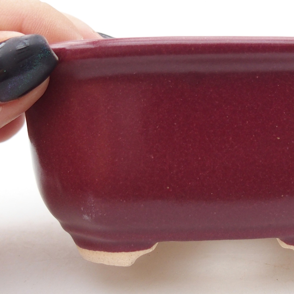 Mini bol bonsaï 9 x 7 x 4,5 cm, bordeaux