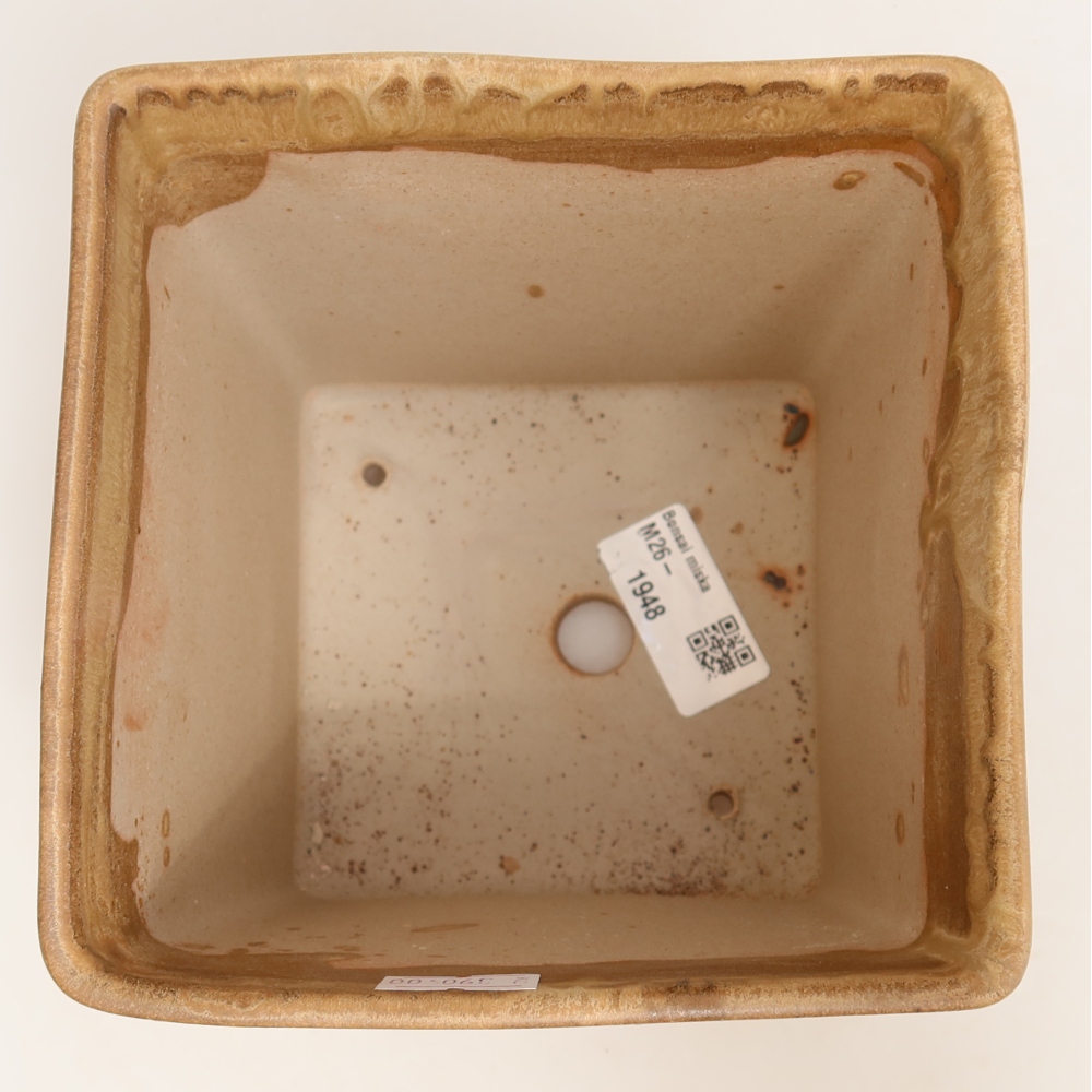 Bol à bonsaï en céramique 13 x 13 x 13,5 cm, couleur beige