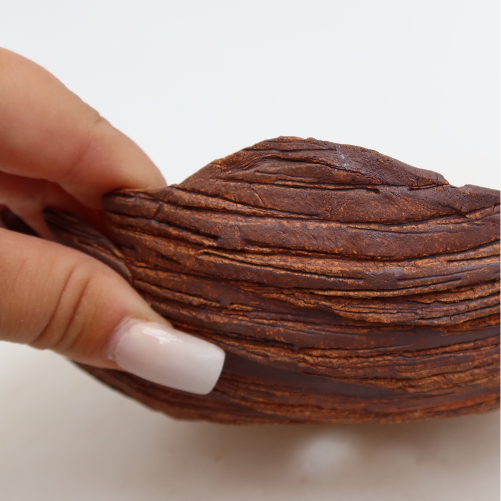 Coquille en céramique  18 x 15 x 8 cm, couleur marron