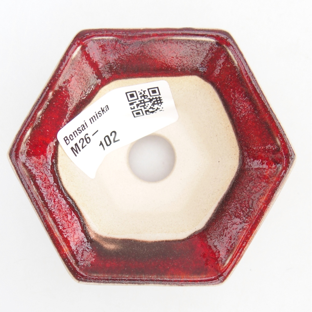 Mini bol bonsaï 8 x 7 x 3 cm, couleur rouge