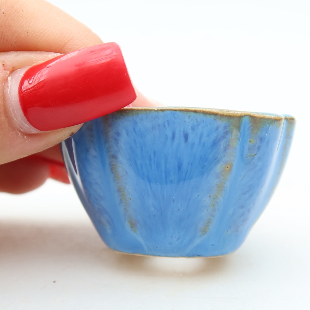Bol à bonsaï en céramique 4,5 x 4,5 x 2,5 cm, couleur bleu