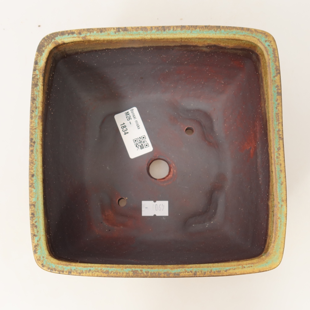 Pot à bonsaï en céramique 16,5 x 16,5 x 9,5 cm, couleur verte