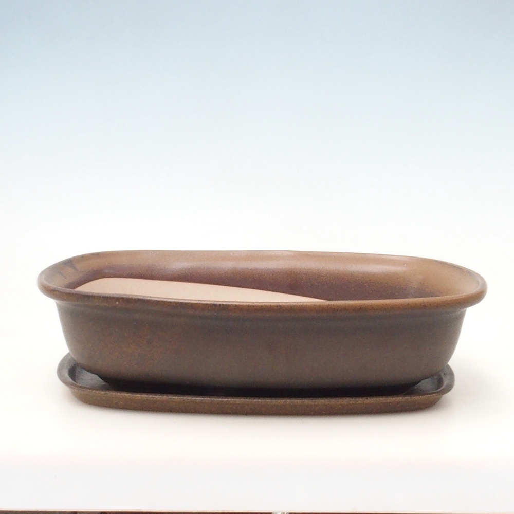 Coupe Bonsaï + soucoupe H10 - 37 x 28 x 9 cm.