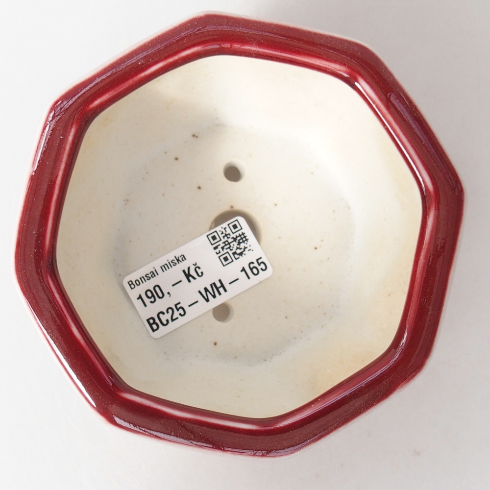 Bol à bonsaï en céramique 11,5 x 11 x 5 cm, couleur rouge