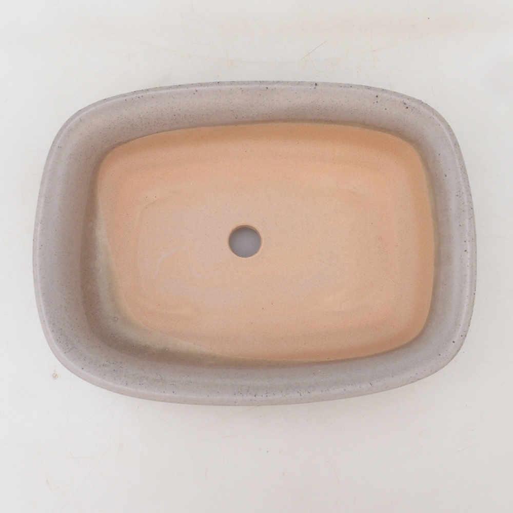 Coupe bonsaï H02 - 19 x 13 x 5 cm - beige