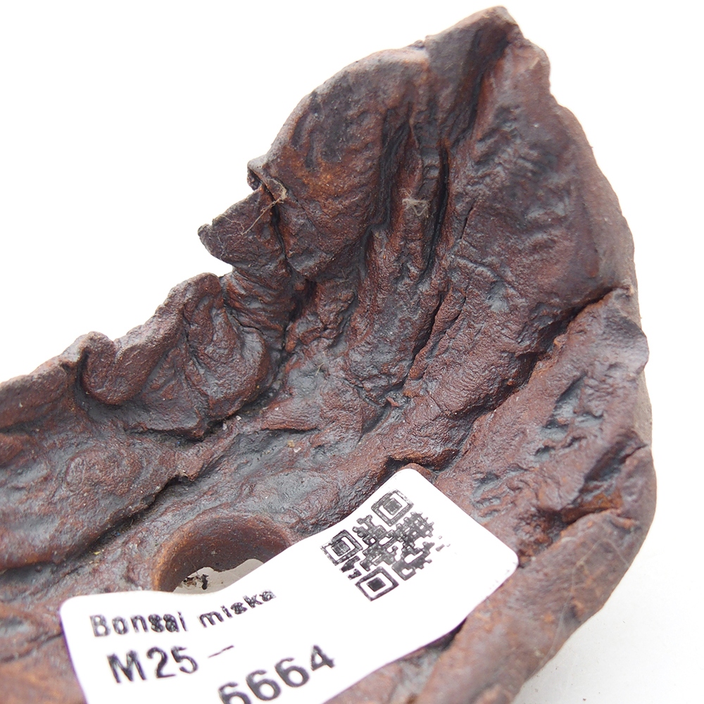 Coquille en céramique 7,5 x 5,5 x 6 cm , couleur marron