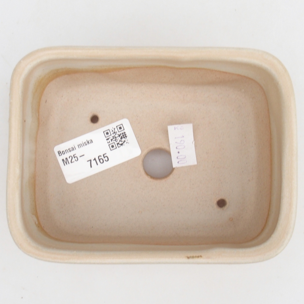 Bol à bonsaï en céramique 12,5 x 10 x 5 cm, couleur beige